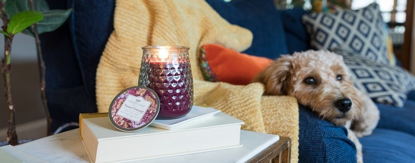 Doftljus från Greenleaf med doften Tuscan Vineyard i en texturerad glasburk, placerad på böcker i ett mysigt vardagsrum med en hund i fåtöljen